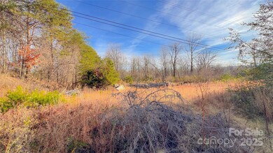 V/L Ashworth Rd, Marion, NC 28752 - photo 7