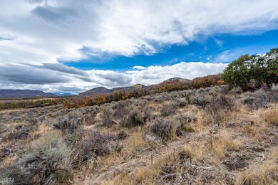 Lot-View_1800x1200_3145916