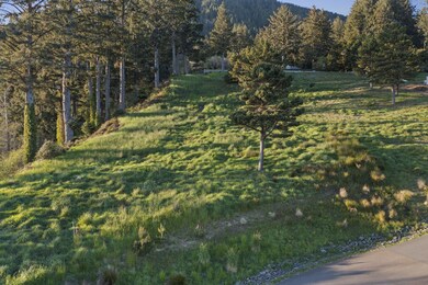 15-web-or-mls-DJI_0555