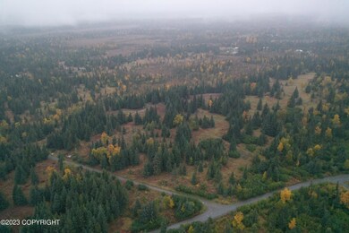W3 Alaskan Wildwood Ranch(r), Nikolaevsk, AK 99556 - photo 5