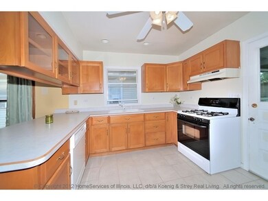 102 N Berteau Ave, Elmhurst, IL 60126 - photo 5