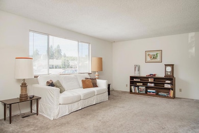 1510 Sunny Circle Listing Pics - Living