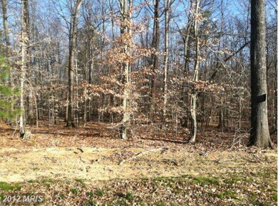 0 Dulin Clark Rd unit 1003884866, Centreville, MD 21617 - photo 6