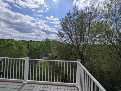 Treelined view from the rear deck