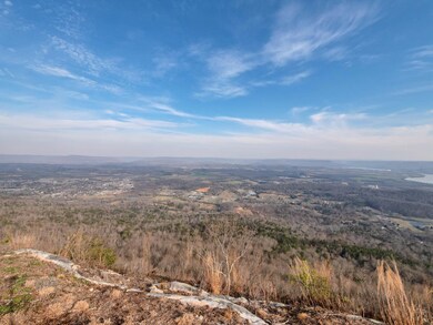 0 Hovering Hawk Dr unit 1332699, Jasper, TN 37347 - photo 3