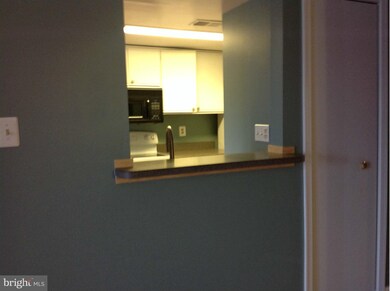 12938 Grays Pointe Rd unit B, Fairfax, VA 22033 - photo 4