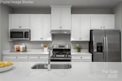 11113 Emerson Landing Dr, Charlotte, NC 28214 - photo 2