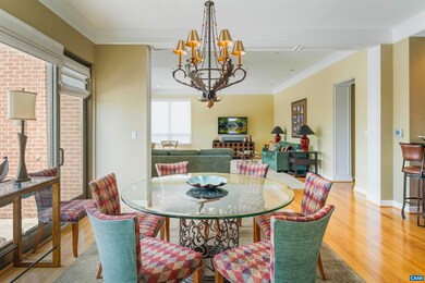 112 5th St SE unit 5A, Charlottesville, VA 22902 - photo 3