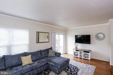 13428 Elevation Ln, Herndon, VA 20171 - photo 6