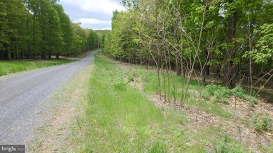 Lot 203 Hampshire Ridge, Romney, WV 26757 - photo 6