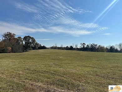 177 Coldstream Dr, Columbia, KY 42728 - photo 4