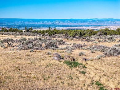 TBD Cedar Mesa, Cedaredge, CO 81413 - photo 3