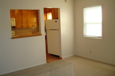 LIVING ROOM NEW WINDOWS & CARPET