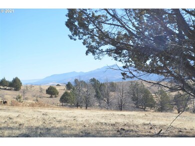 0 Davis Creek unit 21278766, John Day, OR 97845 - photo 2