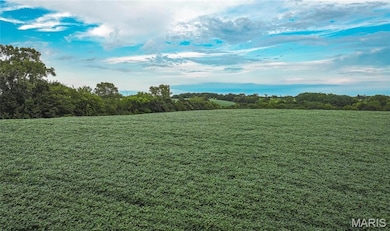 0 Newland Rd, Unincorporated, MO 63561 - photo 7