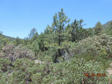 102 Sundown Ln, Pine, AZ 85544 - photo 5