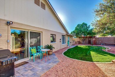 Patio & Back Yard