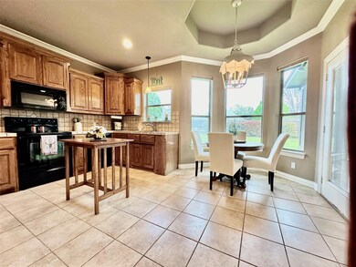 817 Andi Way, Weatherford, TX 76086 - photo 6