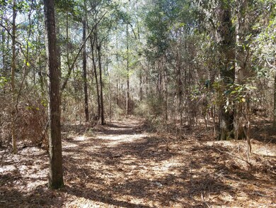 Walking Trail