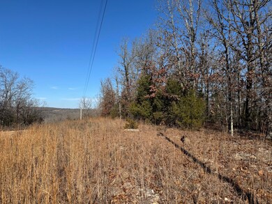 60 B Tablerock Rd, Evening Shade, AR 72532 - photo 4