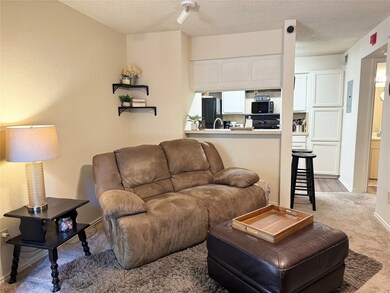 3210 S Fielder Rd unit 117, Arlington, TX 76015 - photo 5