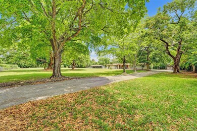 Entrance lined with mature trees