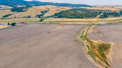 15237 E Belmont Appx Rd, Mica, WA 99023 - photo 5