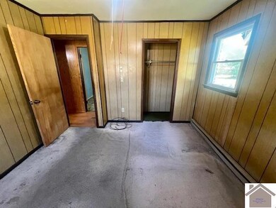 705 Chadd St, Marion, KY 42064 - photo 6