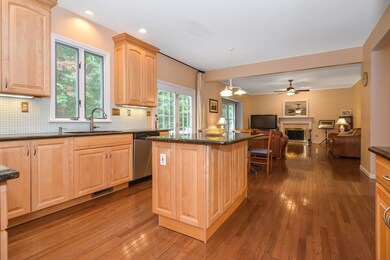 3 Sherborn Ln, Franklin, MA 02038 - photo 5