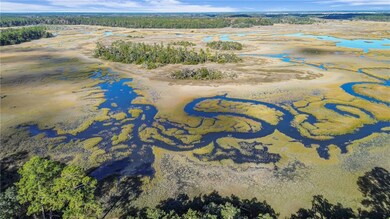 1261 Otter Slide Loop NE, Townsend, GA 31331 - photo 2