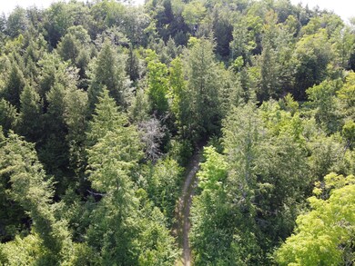 P/O 167 Salmon Cir, Hartland, ME 04943 - photo 6