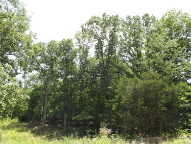 DSCF4550 (Medium)