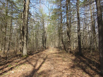 Main trail 2