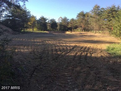 0 Bass Ln unit 1001325763, Winchester, VA 22603 - photo 4