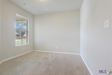 39411 Legacy Lake Dr, Gonzales, LA 70737 - photo 5
