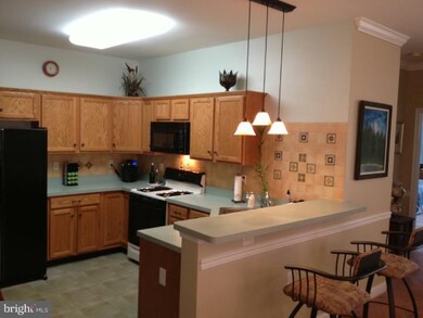 119 Burholme Dr, Trenton, NJ 08691 - photo 7