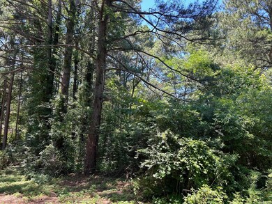 N/A0 Robin Ln, Sheridan, AR 72150 - photo 2