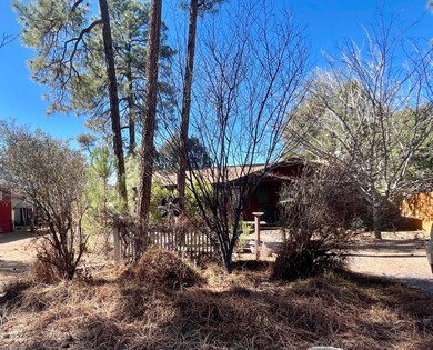 806 N Easy St, Payson, AZ 85541 - photo 5