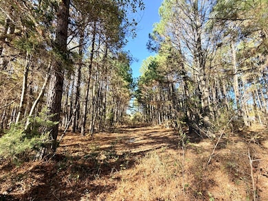 Tract No 1 County Road 3150, Deberry, TX 75639 - photo 2