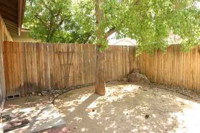 Shade Tree