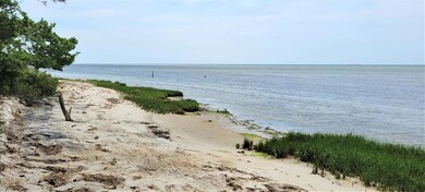 Sandy Shoreline