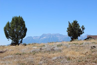 IMG_3714