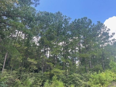 717 Lonestar Rd, Huntsville, TX 77340 - photo 4