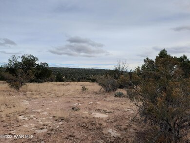 Lot 1396 Juniper Way, Seligman, AZ 86337 - photo 5