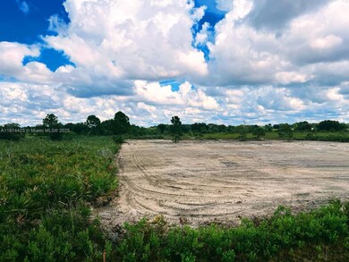 17385 NW 314th St, Okeechobee, FL 34972 - photo 7