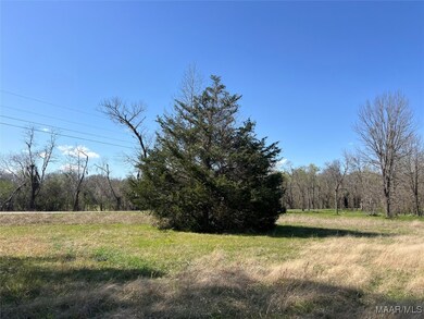 0 Barganier Rd unit 572423, Cecil, AL 36013 - photo 7