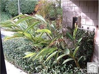 Lush landscaping