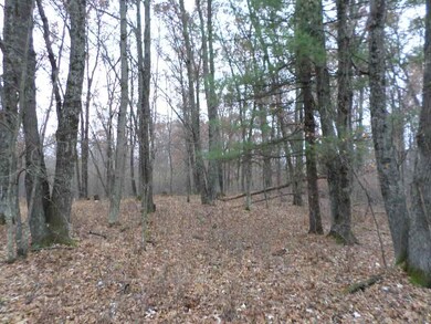 20 Ac 22nd St, Camp Douglas, WI 54618 - photo 3