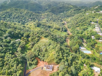 0 Bo Mulas Carr 174 Km Hm 19 6 Int unit SOLAR 1 MFRPR9111511, Aguas Buenas, PR 00703 - photo 5