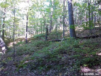 Land. Secluded slopes for hunting or hiking.